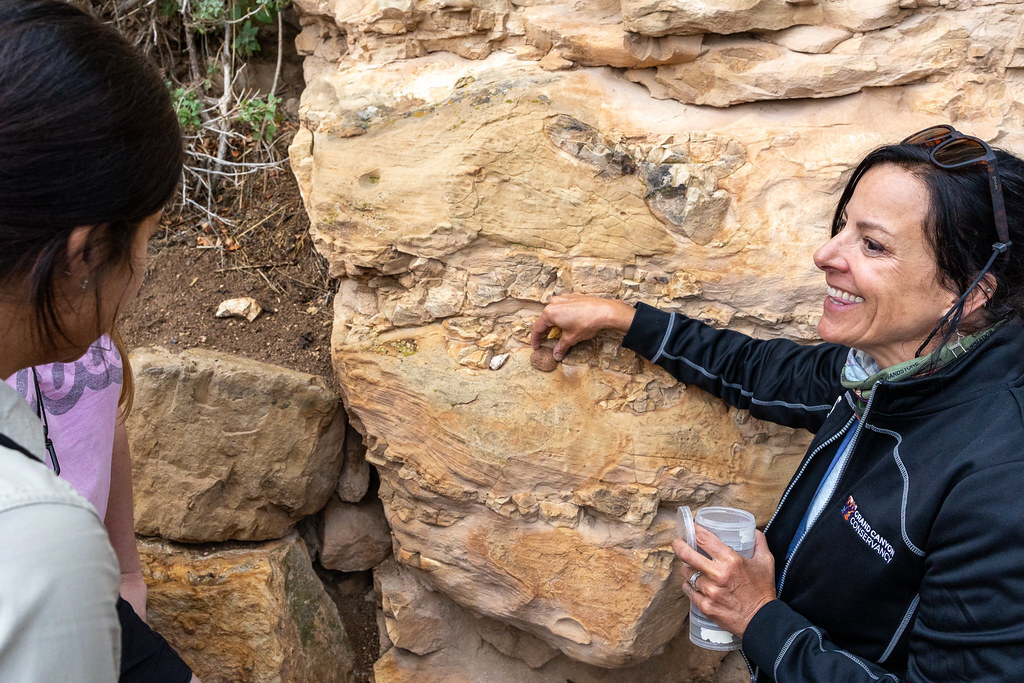 Sherri points at rocks