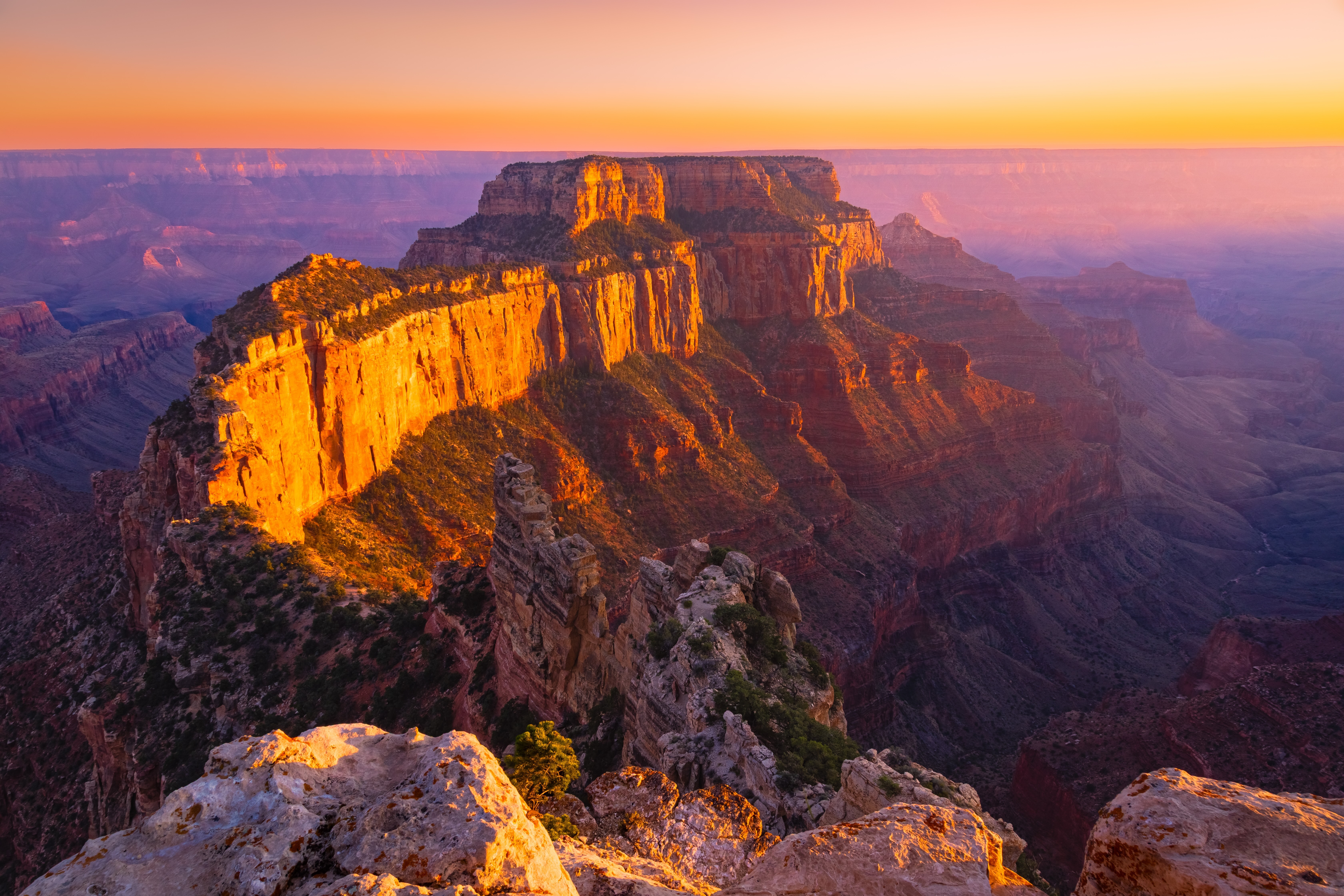 Share Your Love for Grand Canyon | Grand Canyon Conservancy
