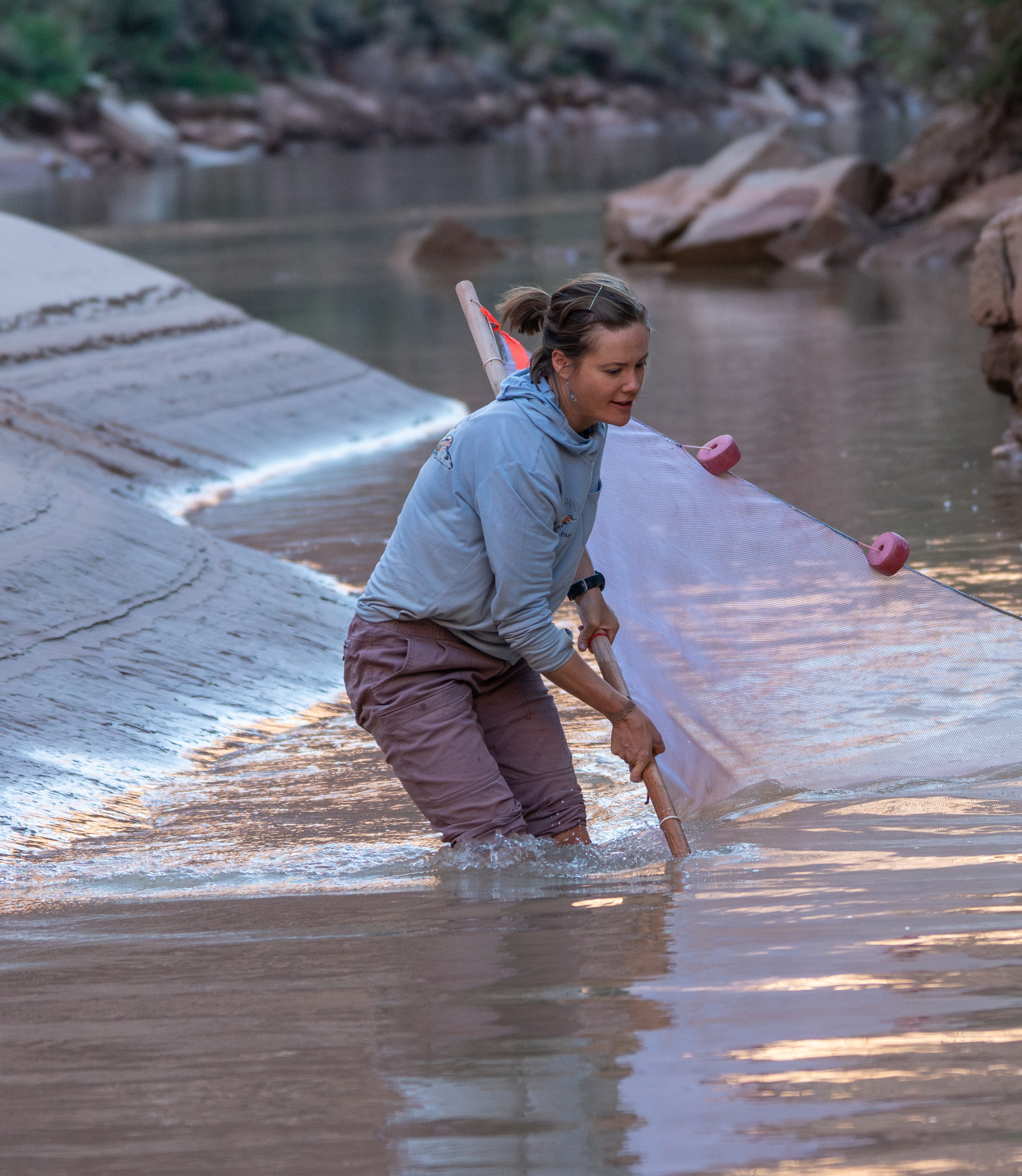 A fisheries biologist conducts monitoring along the Colorado River
