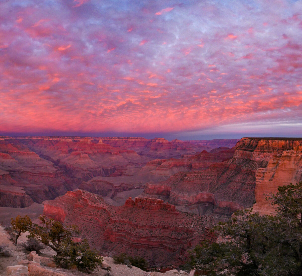 50851461702 4752f60753 o
Grand Canyon National Park - Powell Point Sunset 1/18/2021 0019
Definitely #MondayMotivation, in spite of the fact that it waited until the very end of day. (Mon. 1/18/2021)