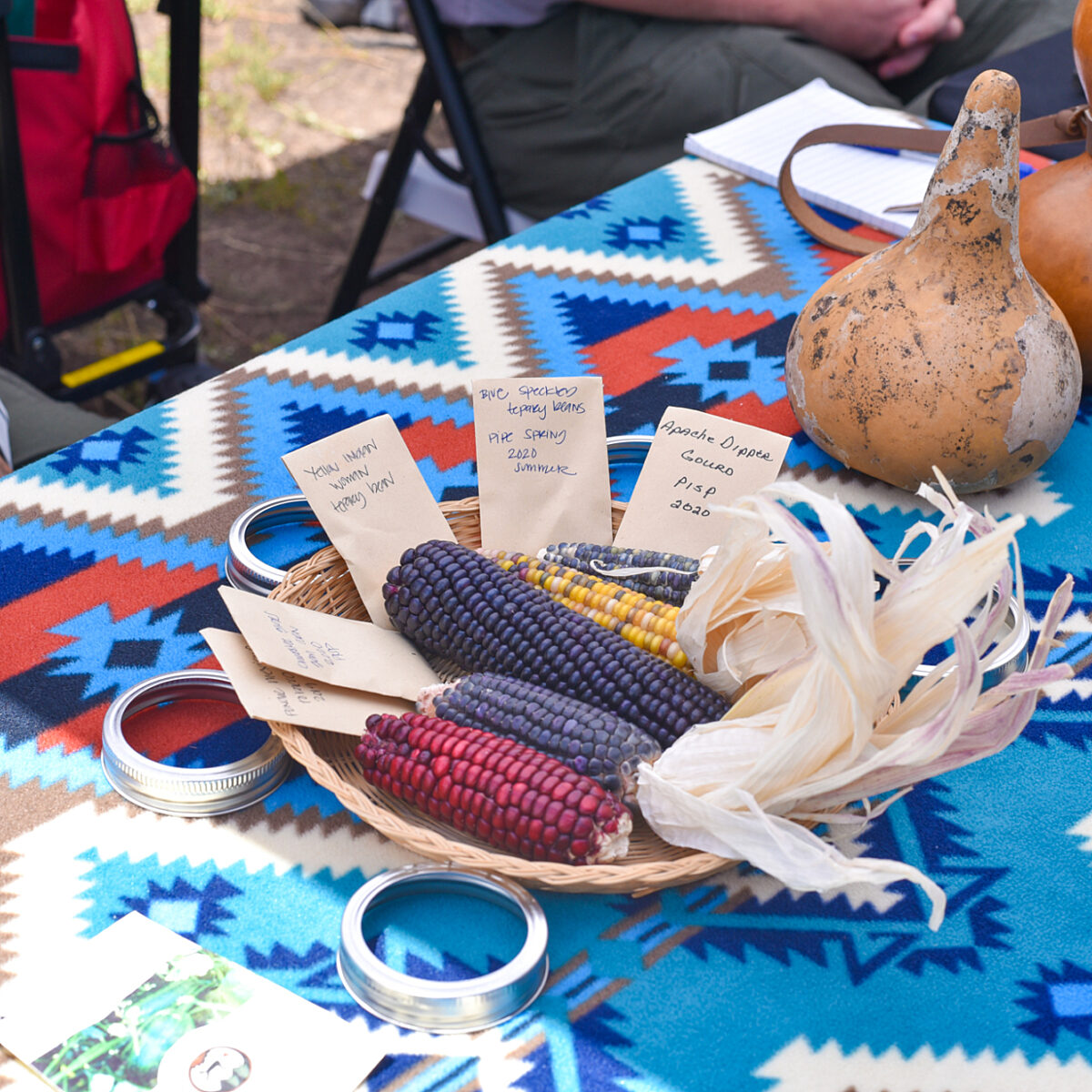 Native Garden Display
Kaibab Paiute demonstrator table show native corn and other harvested items from the native garden at Pipe Spring National Monument.