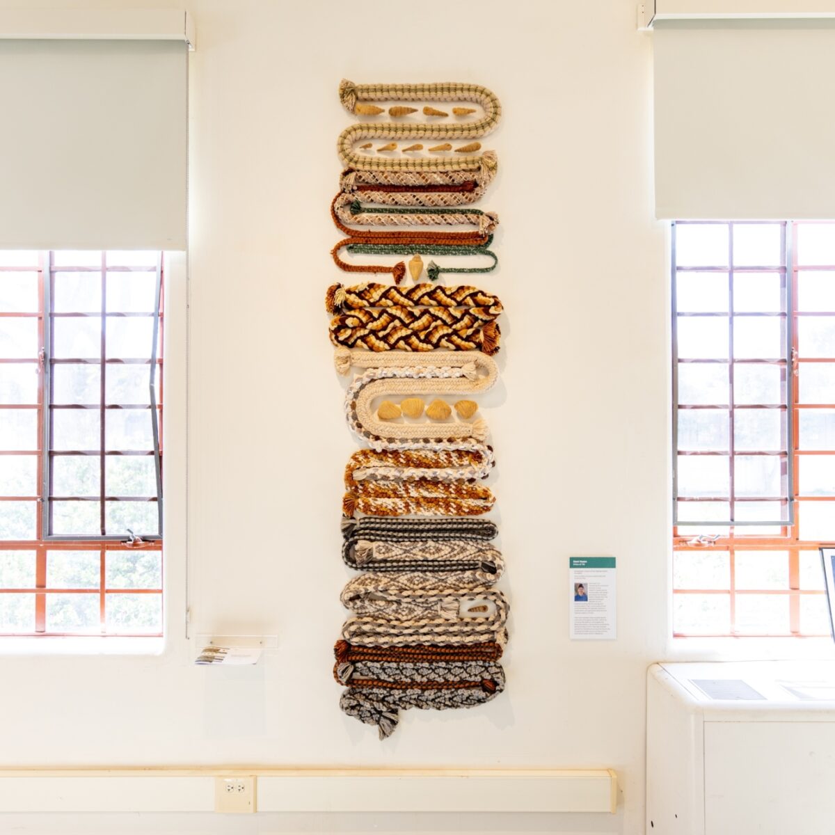 Dani Kwan Installation