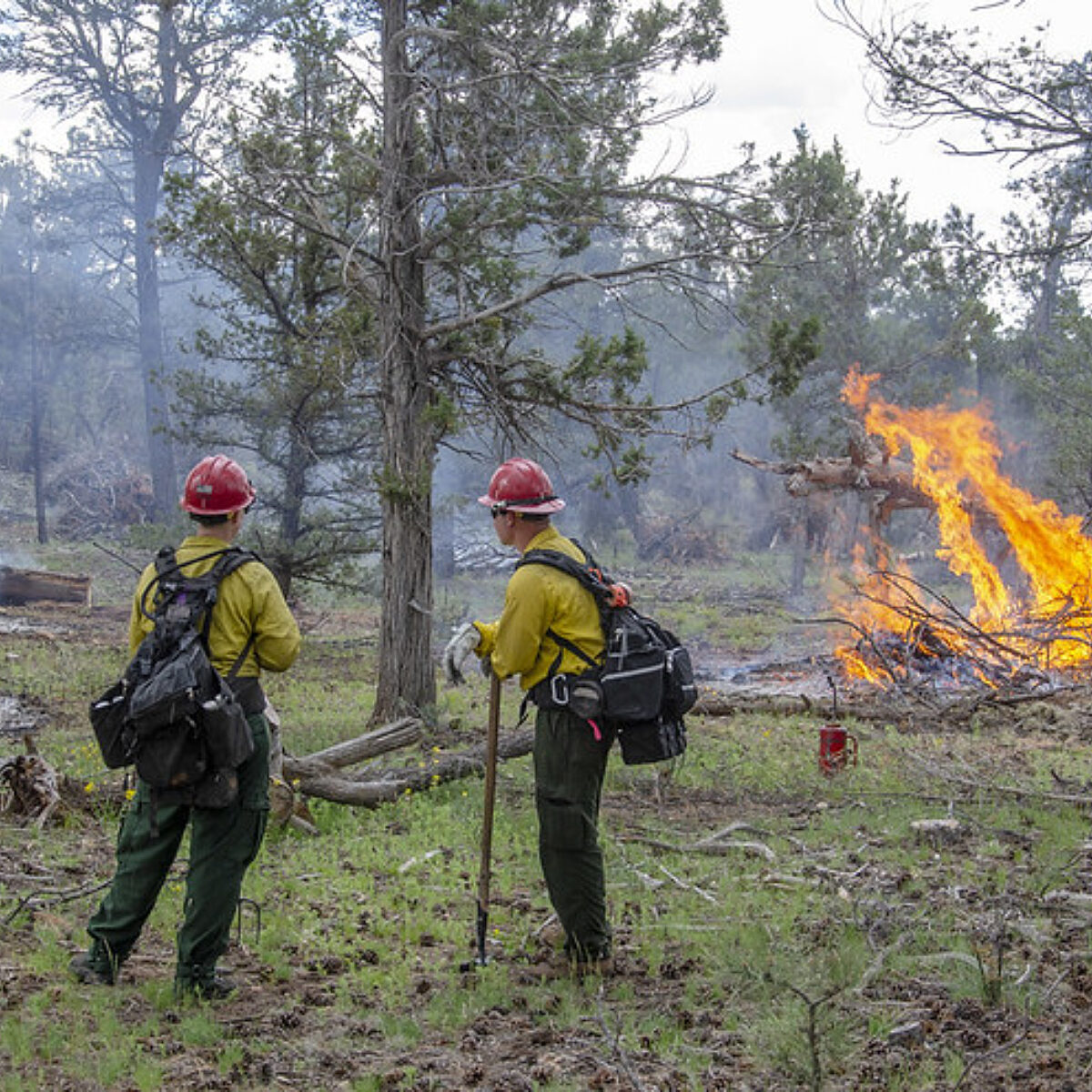 Firefighters stand in front of a burn pile