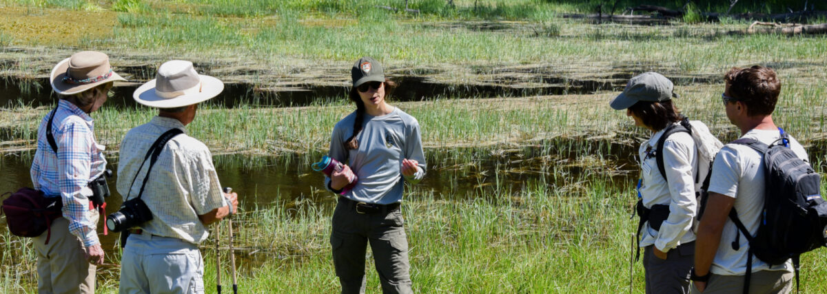 Park Ranger speaks to group about plants at Grand Canyon in a grassy meadow