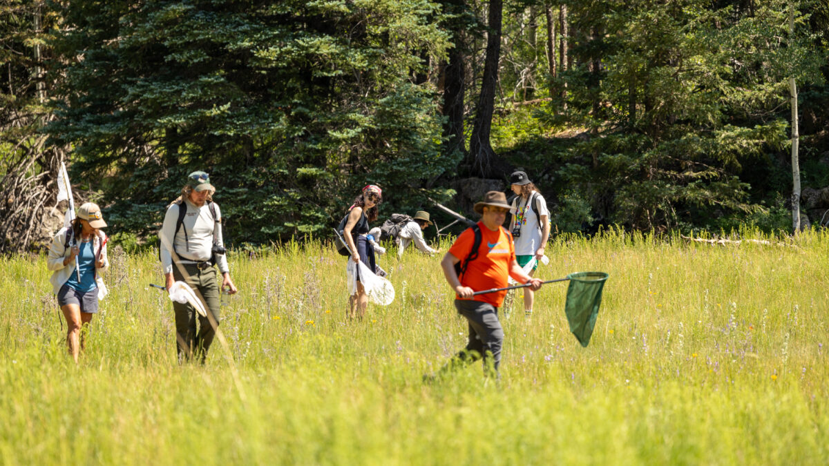 North Rim Butterfly Count Group Pic LC
