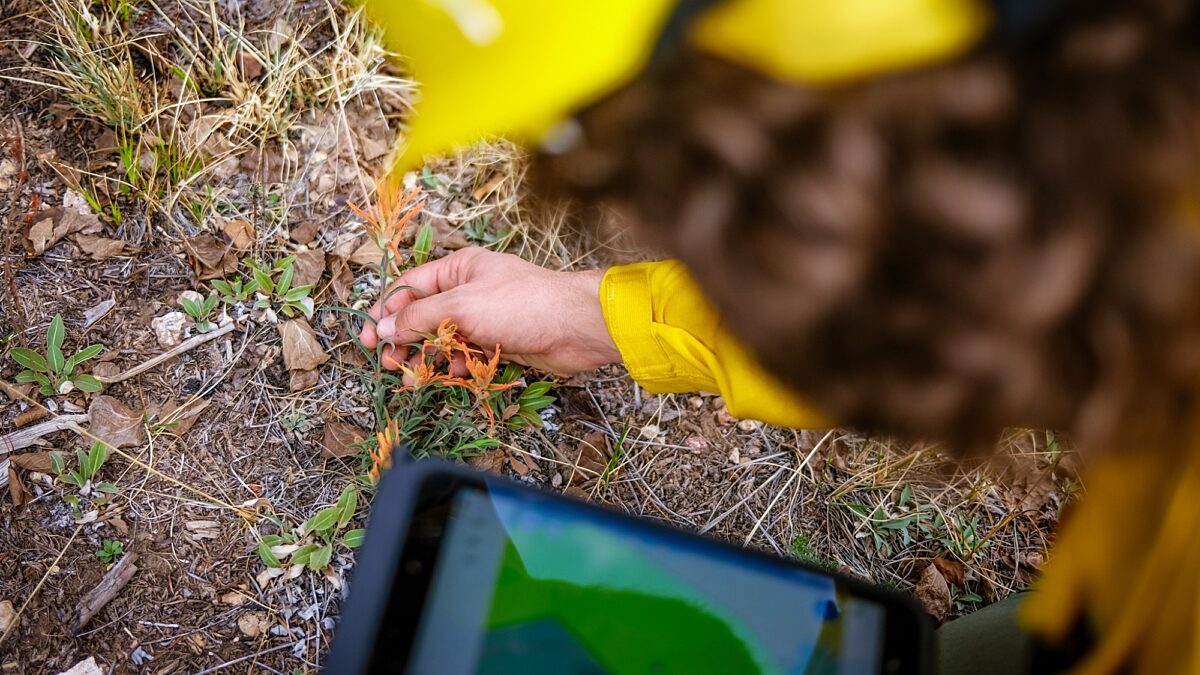 540962503 1256244366545312 5934603944545846004 n