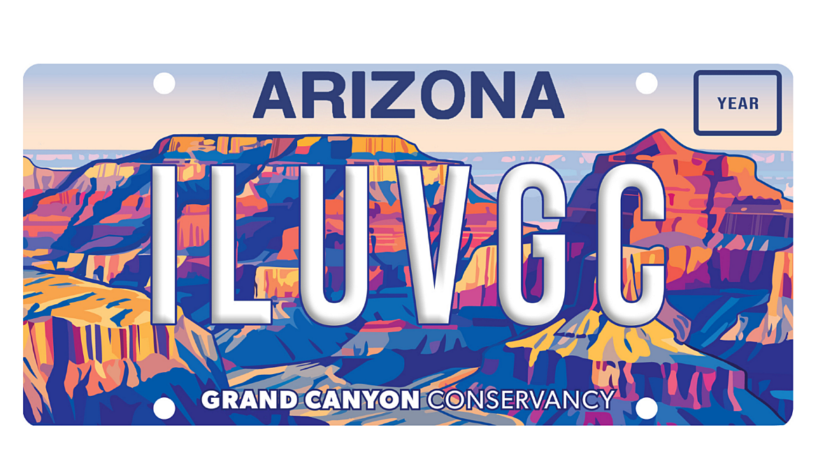 License Plate Design with Border