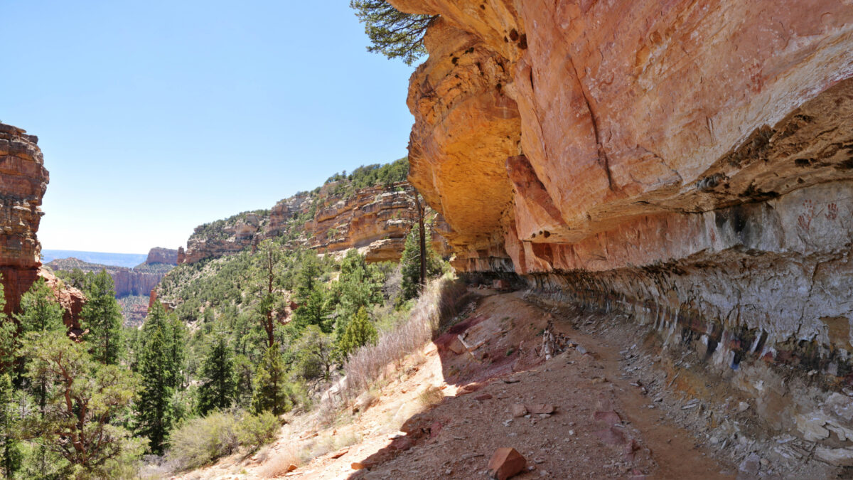 Trail along Grand Canyon Cliff Springs
