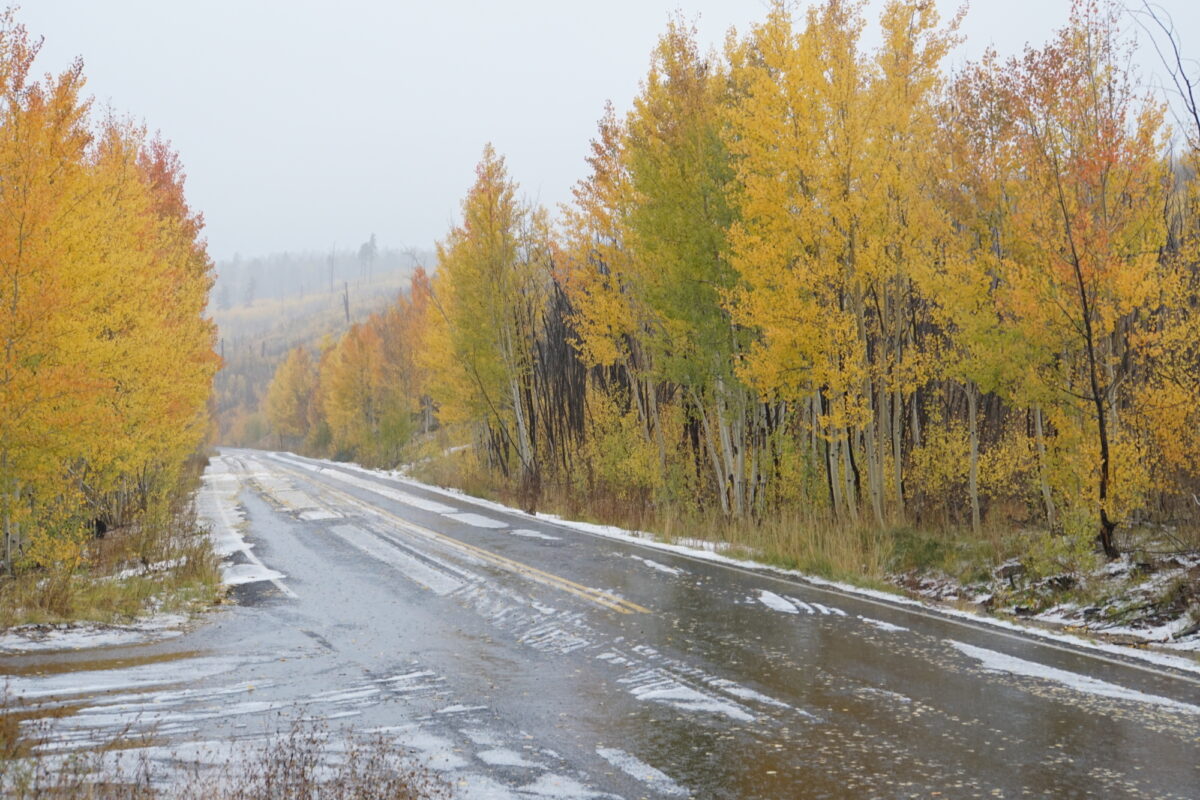 North Rim Fall Colors