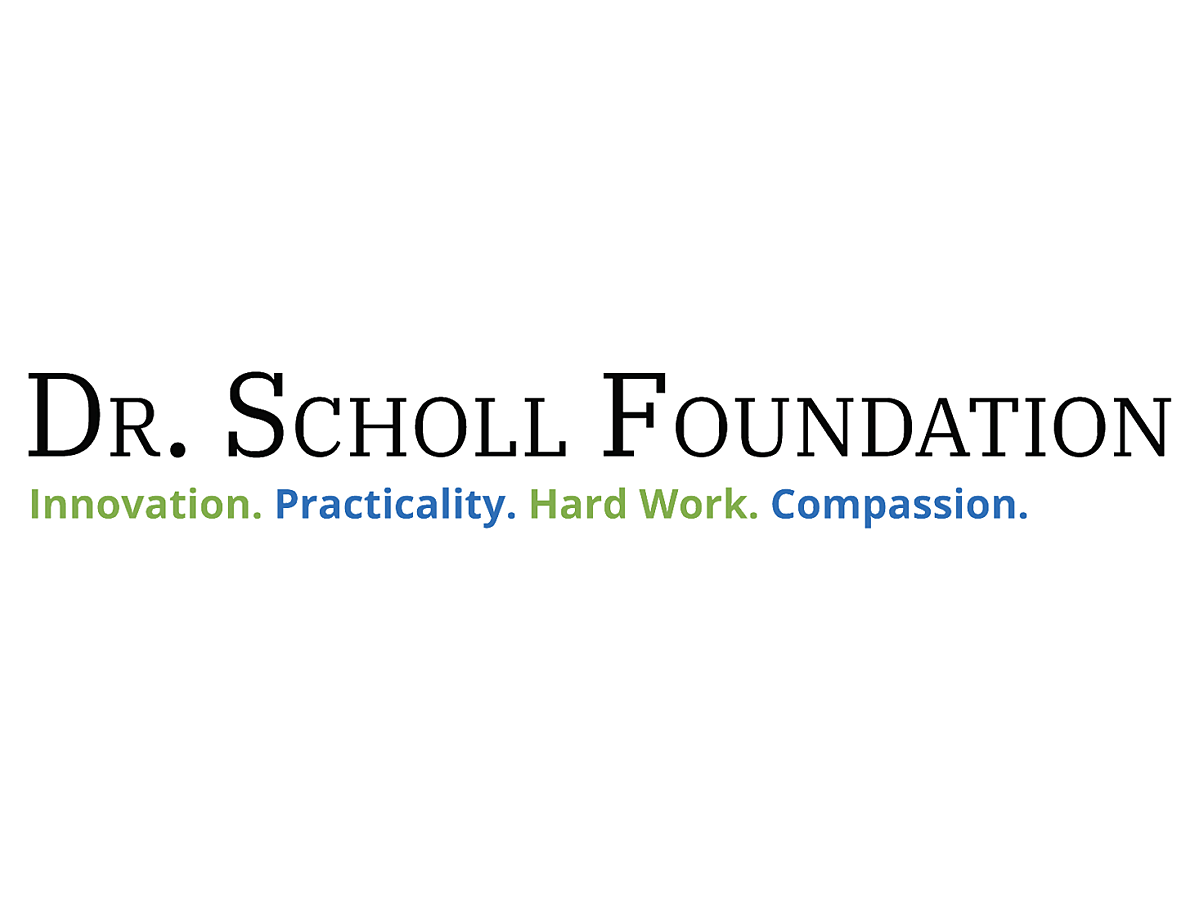 DR Scholl Logo w border corrected