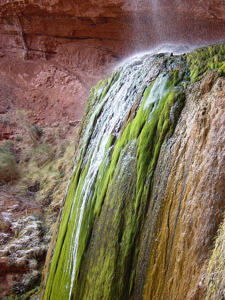 Ribbon Falls in Grand Canyon National Park