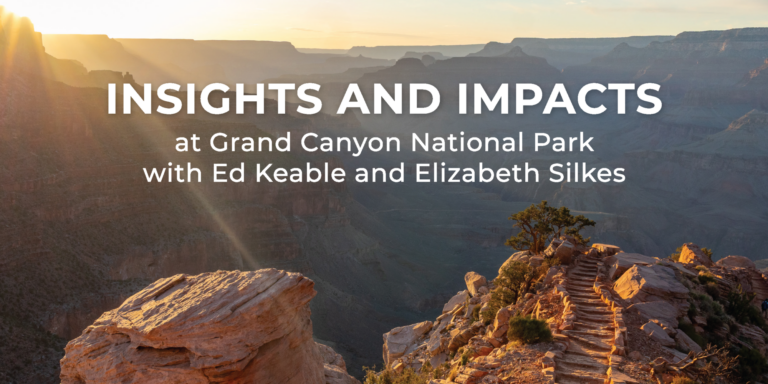 Insights and Impacts 2026