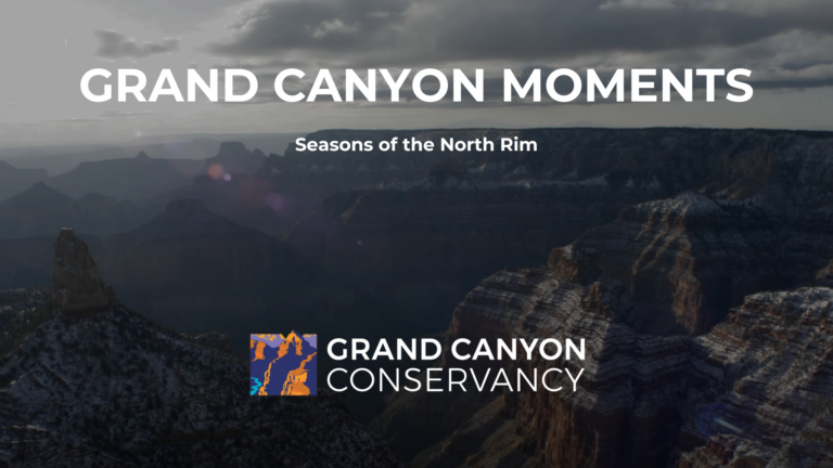 Grand Canyon Moments: Seasons of the North Rim