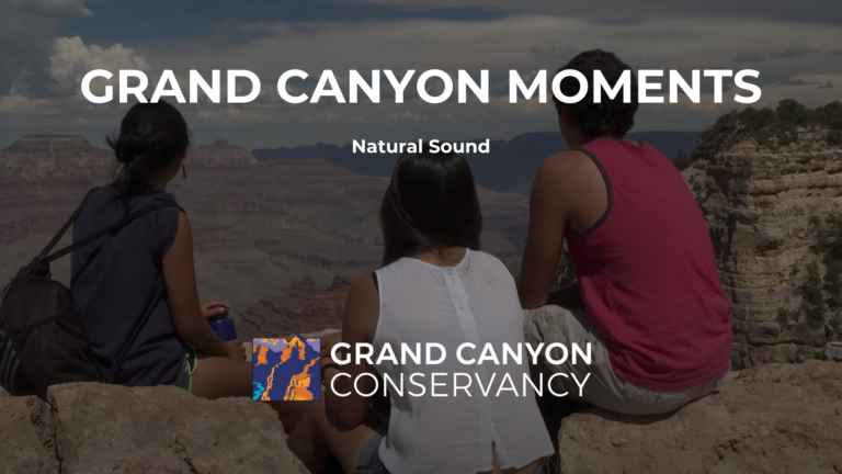 Grand Canyon Moments: Natural Sound