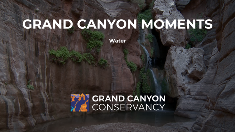 Grand Canyon Moments: Water