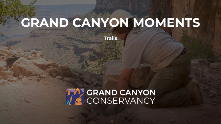 Grand Canyon Moments: Trails
