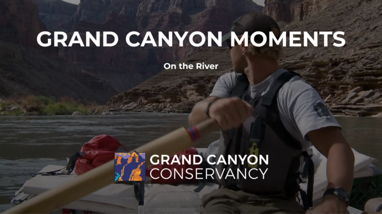 Grand Canyon Moments: On the River