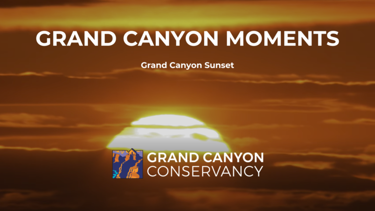 Grand Canyon Moments: Sunset