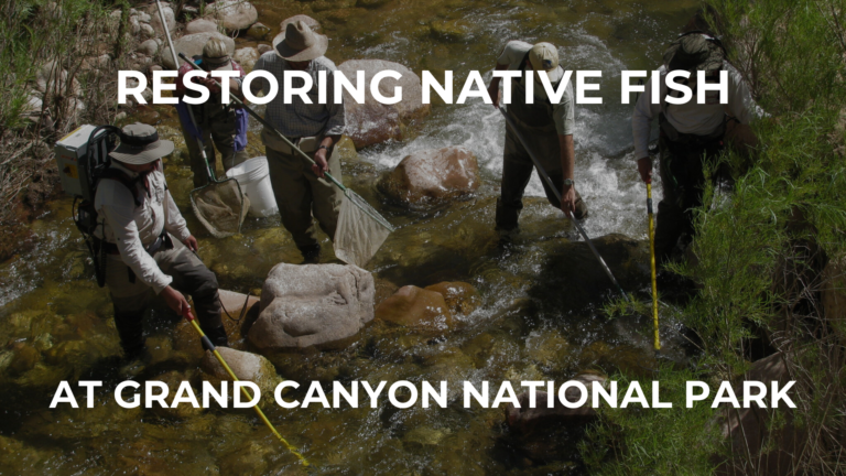 Grand Canyon Conservancy Thumbnails