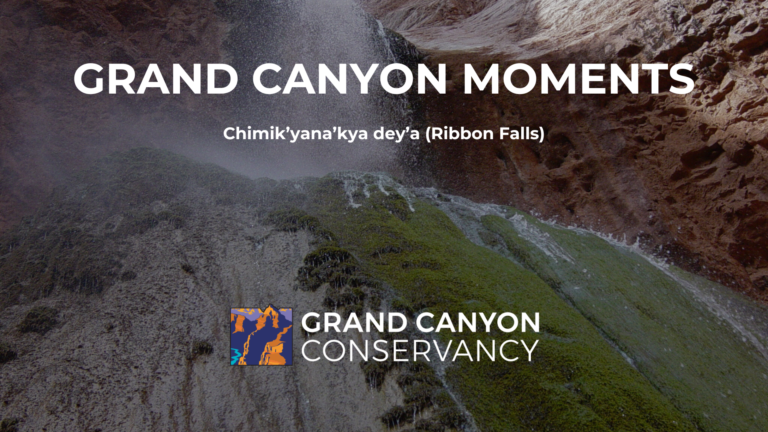 Grand Canyon Moments text on top of an image of Ribbon Falls.