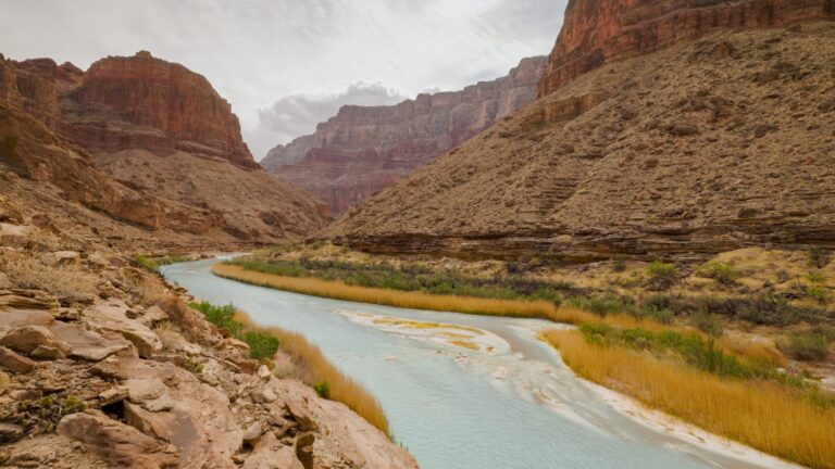 Little Colorado River
