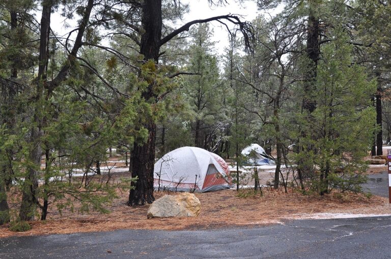 Camping at Mather Campground