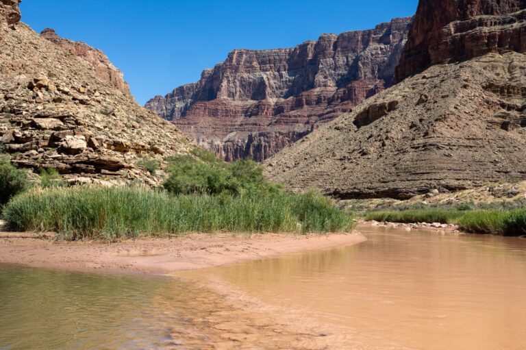 Close up of confluence on colorado river. Water is a muddy brown color. PC L/Cisneros