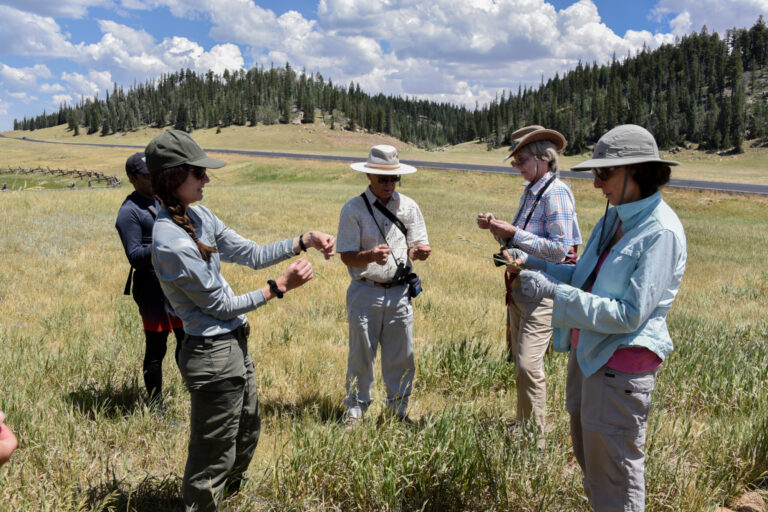 Field Institute: North Rim Plants & Animals
Group looking at grasses.
