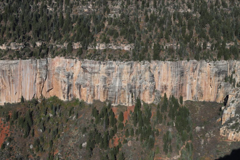 Coconino layer on the North Rim surrounded by high altitude trees