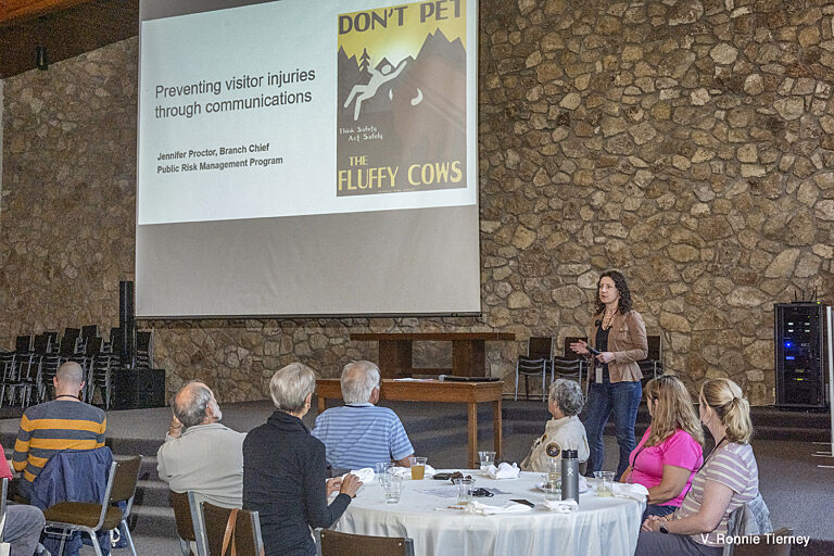 Q3 Fresh Focuses 523399