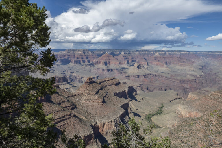 Wide view of Grand Canyon
