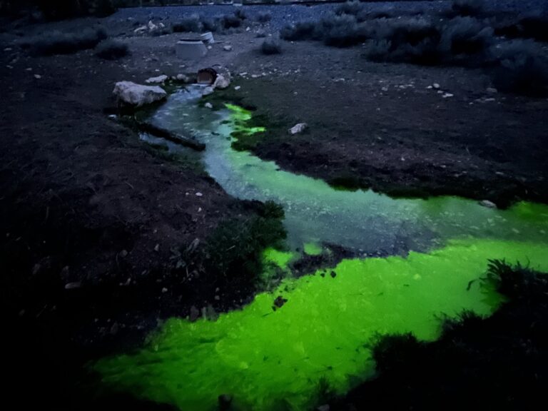 BA Wash Dye Tracing Injection Cropped