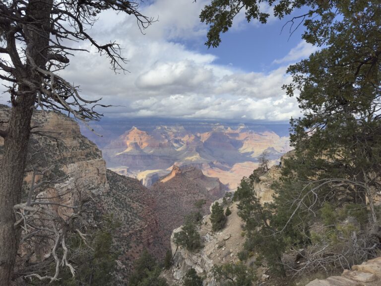 view of the canyon off the rim trail