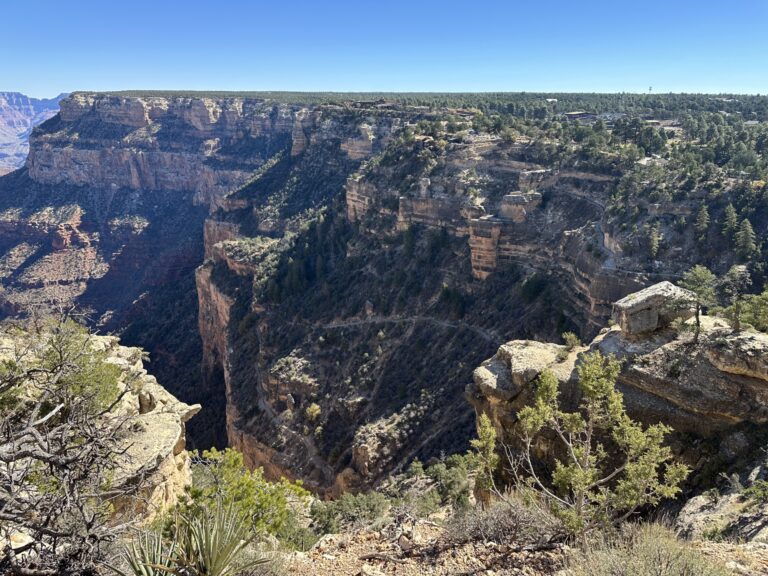 view of the canyon from the rim trail