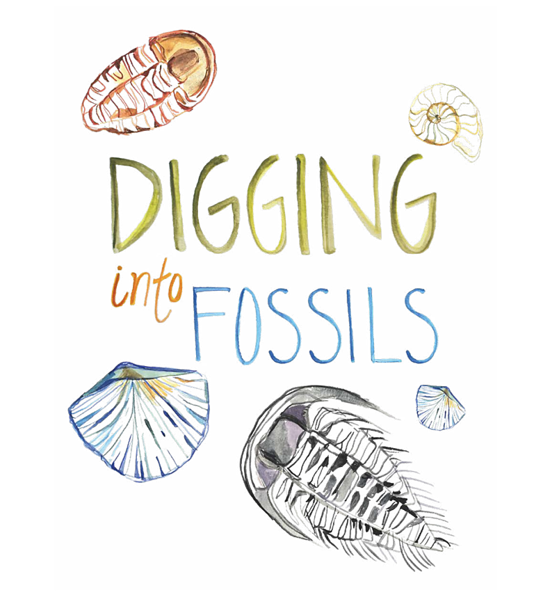 Digging Into Fossils