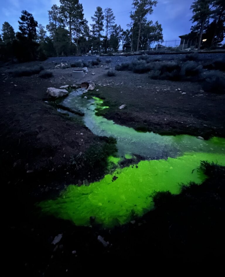 BA Wash Dye Tracing Injection Cropped