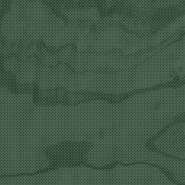 Green topographic placeholder image